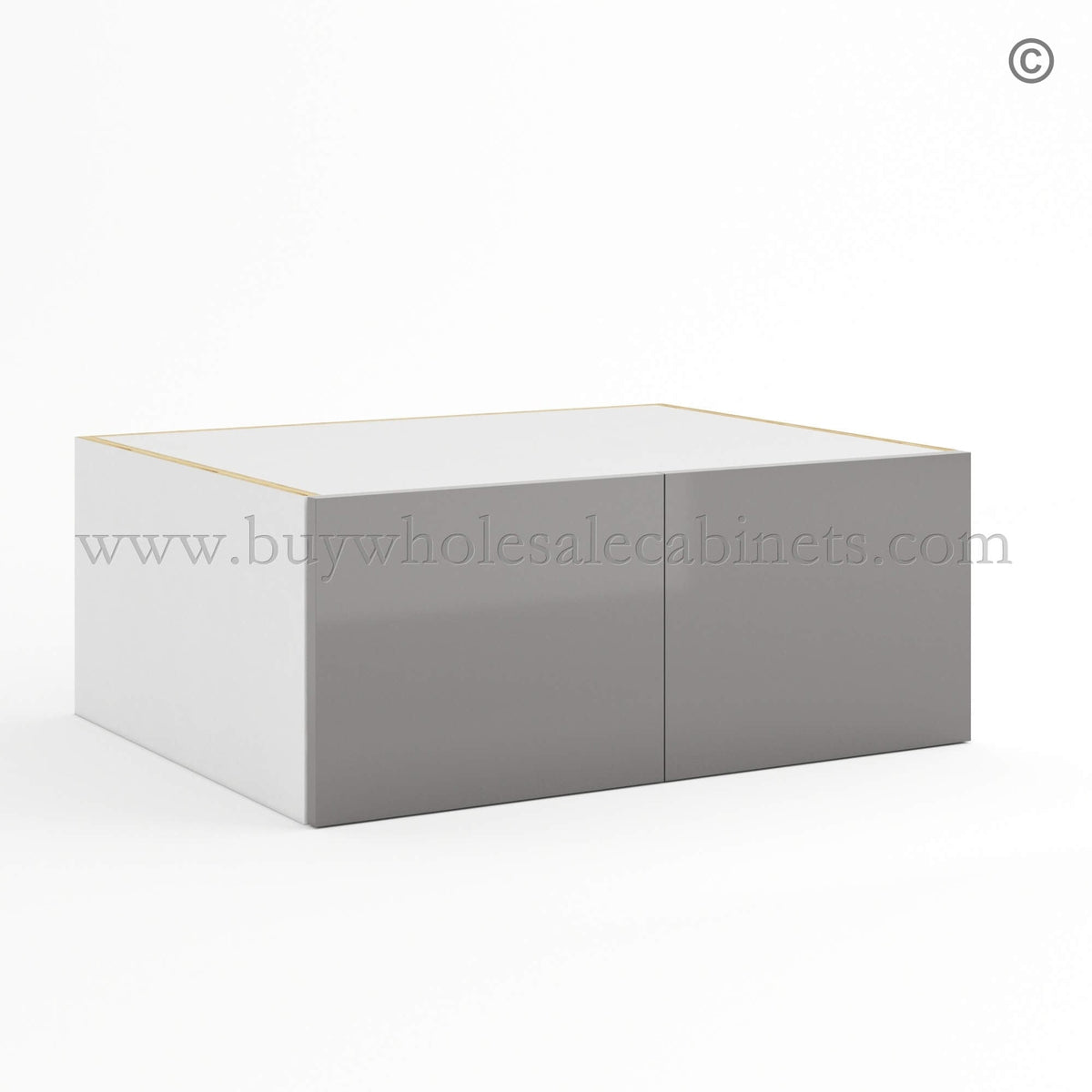 High Gloss Gray Cabinets