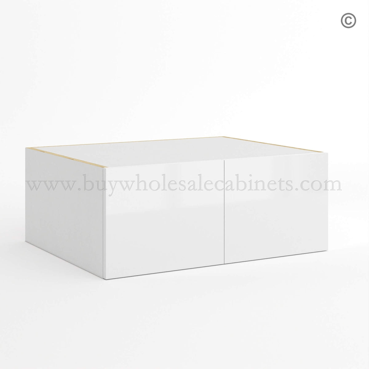 Frameless Gloss White 24″D Refrigerator Wall Cabinet with Double Door 12″H