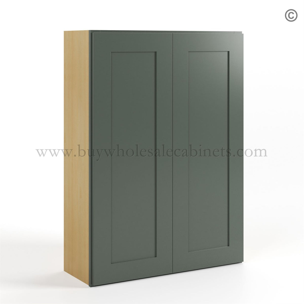 Green Shaker 42″ H Double Door Wall Cabinet