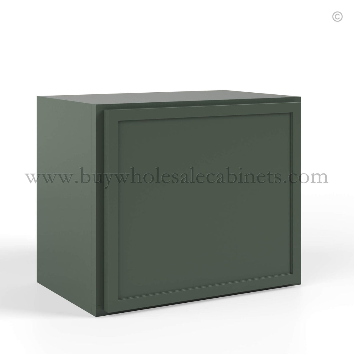 Slim Shaker Green Single Door Wall Cabinet – 15″H – 12″D