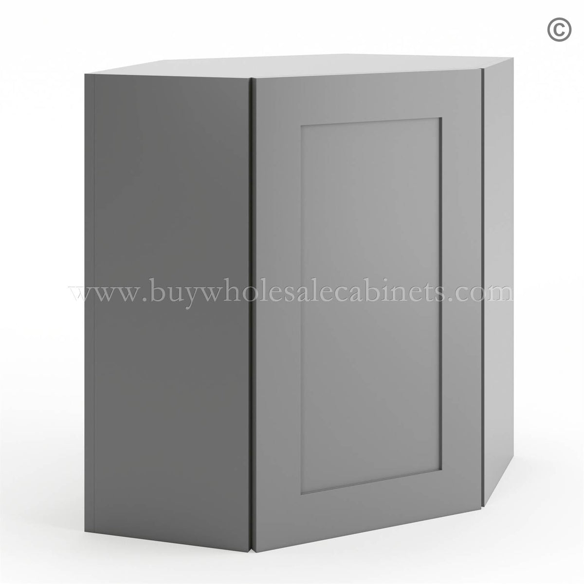 Frameless Graphite Gray 24″ Wide Wall Diagonal Door – 1 Door, 1 Shelf