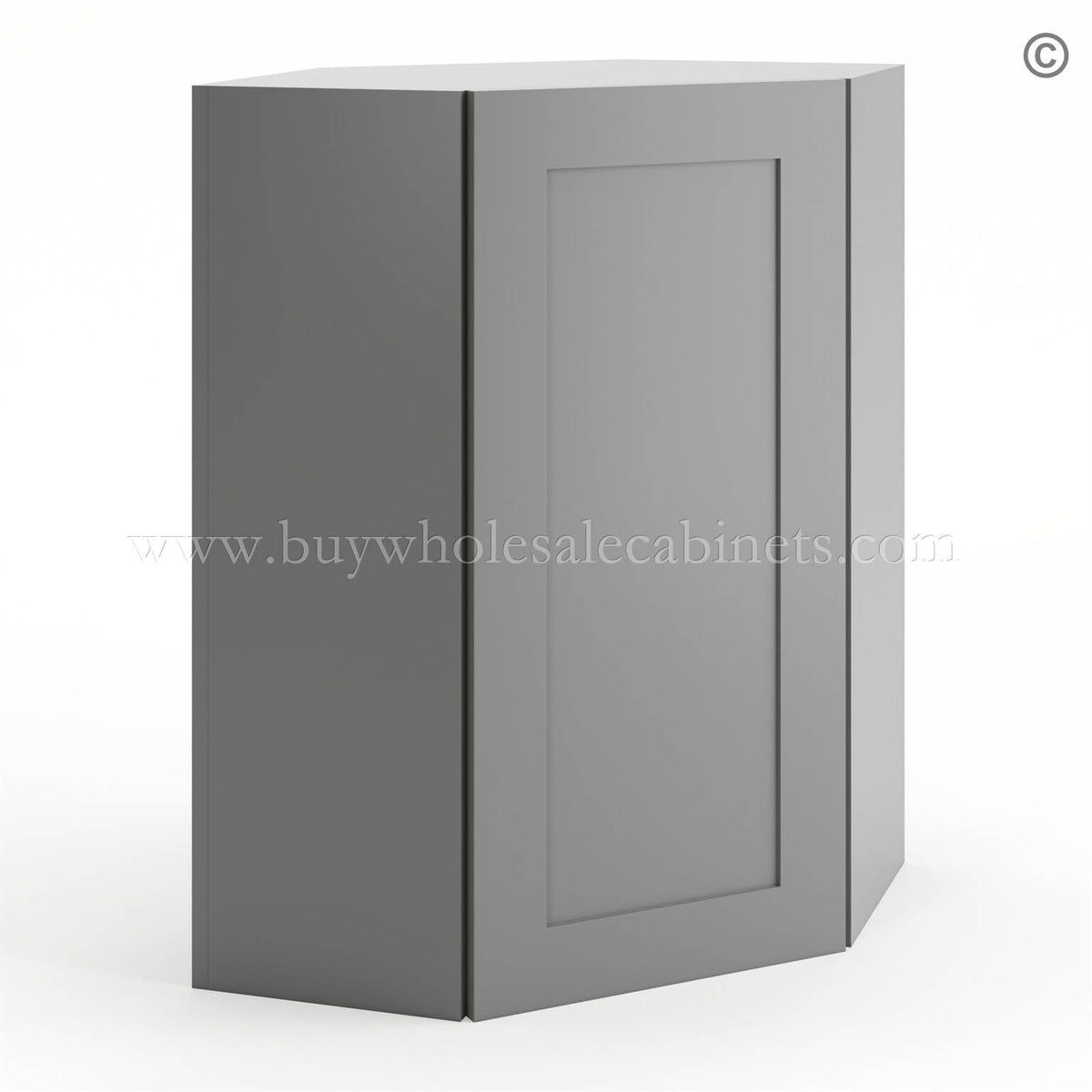 Frameless Graphite Gray 24″ Wide Wall Diagonal Door – 1 Door 2 Shelves