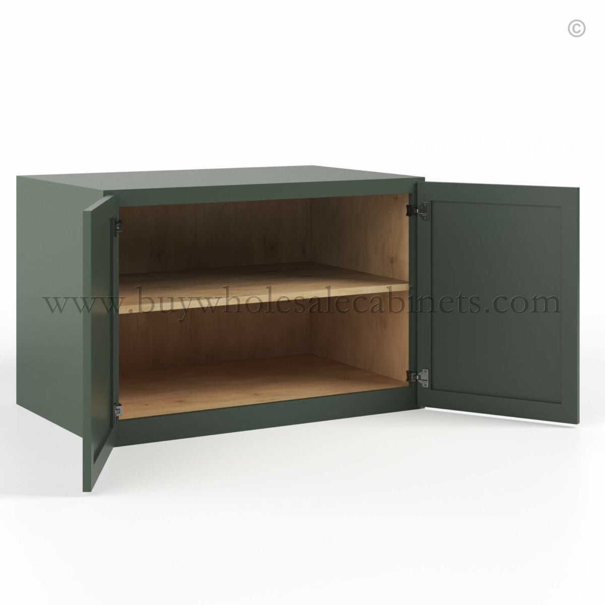 Slim Shaker Green Double Door Wall Cabinets- 24″H, 12″D