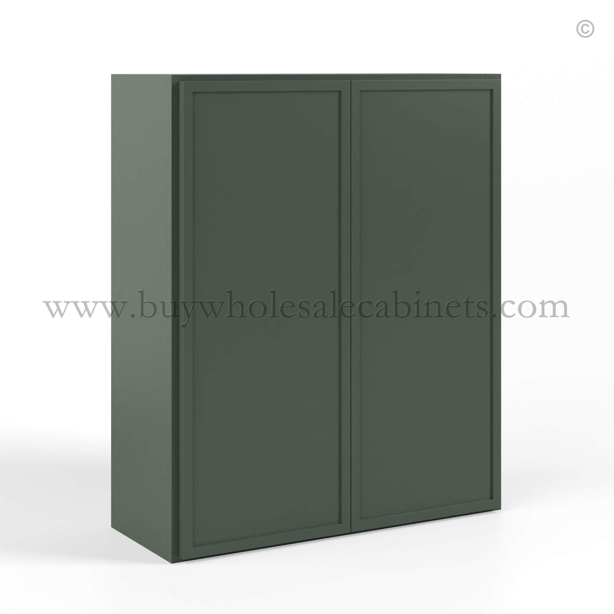 Slim Shaker Green Double Door Wall Cabinets- 42″H, 12″D