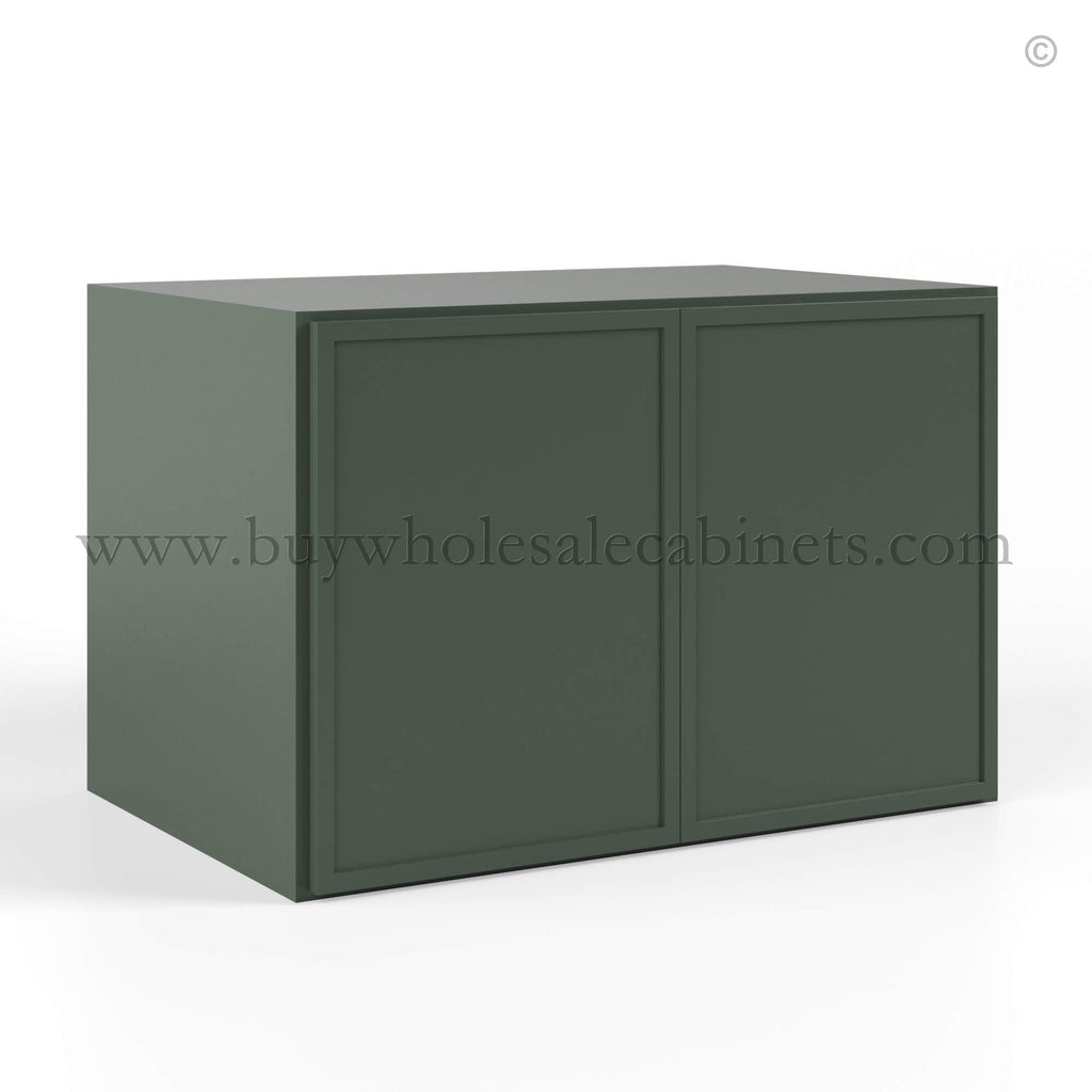 Slim Shaker Green Double Door Wall Cabinet – 24″D