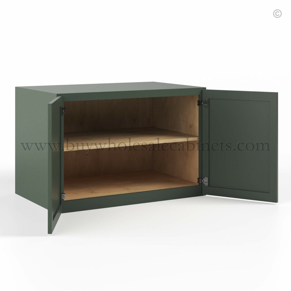 Slim Shaker Green Double Door Wall Cabinet – 24″D