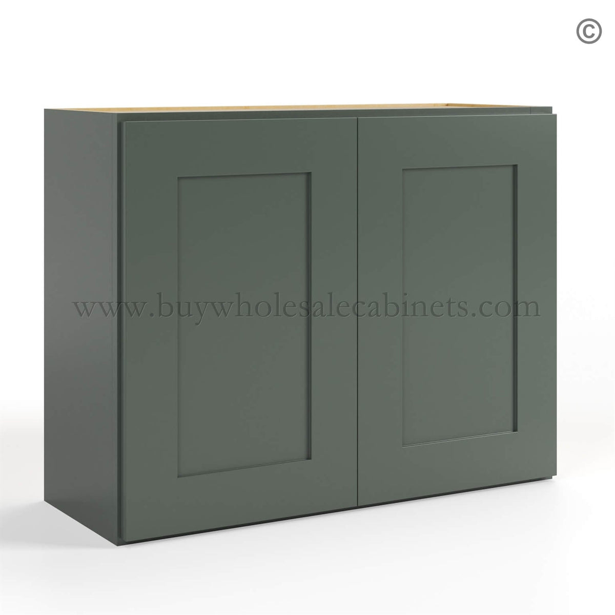 Green Shaker 24″ H Double Door Wall Cabinet